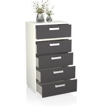 Sinfonier 5 Cajones, Cómoda, Color Blanco y Grafito, Medidas: 60 cm (Largo) x 109,4 cm (Alto) x 39,6 cm de (Fondo) – Meyvaser